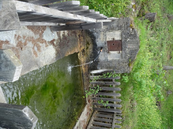 Cabane forestiere de la Rimas