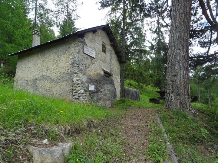 Cabane forestiere de la Rimas