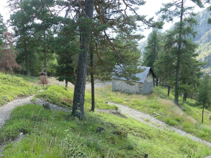 Cabane forestière du Bois-Durat