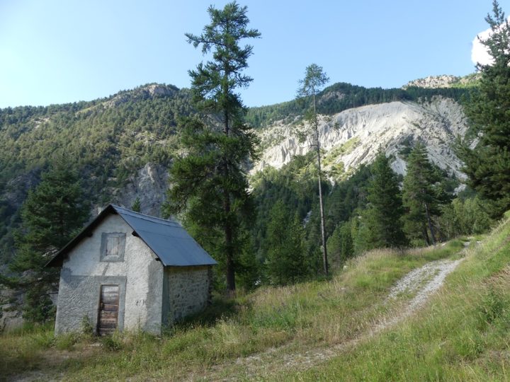 Cabane forestière du Bois-Durat
