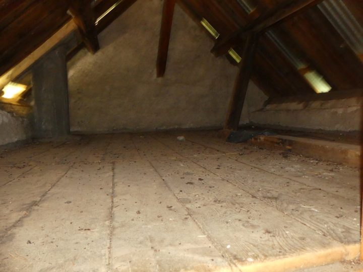 Cabane forestière du Bois-Durat