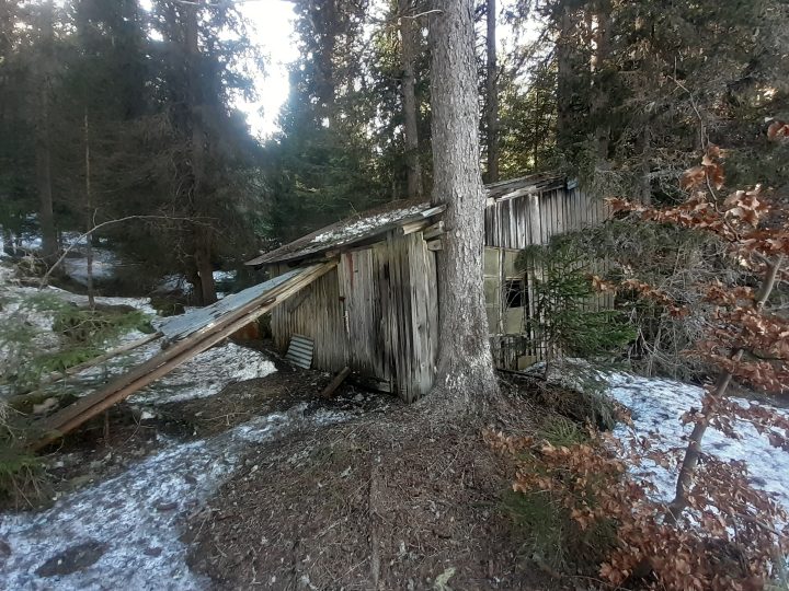 Baraque forestière des Girodines
