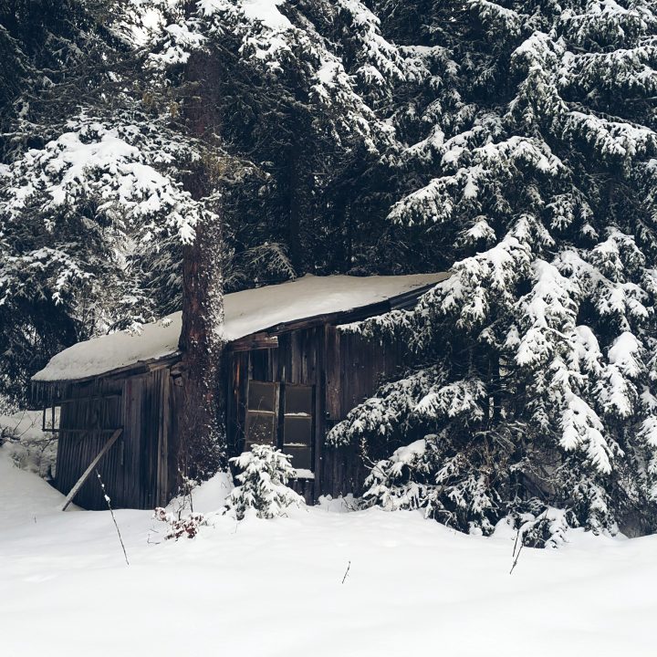 Baraque forestière des Girodines