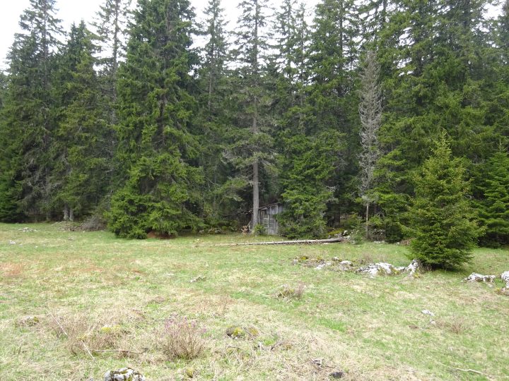 Baraque forestière des Girodines