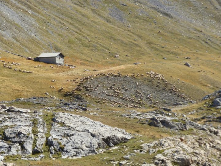 Bergerie du Vallon Laugier