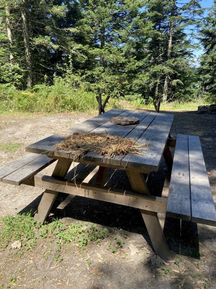 Cabane à Gerbier