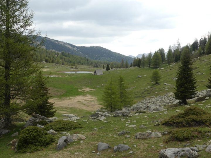 Cabane pastorale du Col Bas