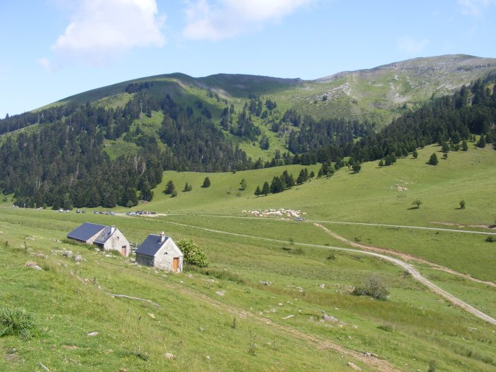 Cabanes de Beyrède