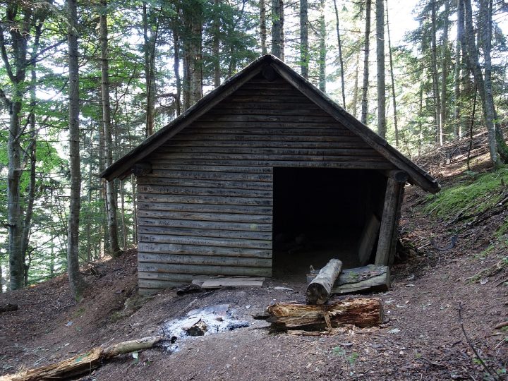 Cabane forestière du Chemin du Facteur