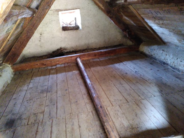 Cabane forestière des Champets