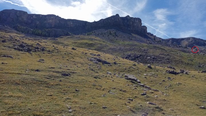 Cabanes de Sallevieille