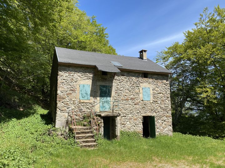 Abri forestier de Nostre Seigne