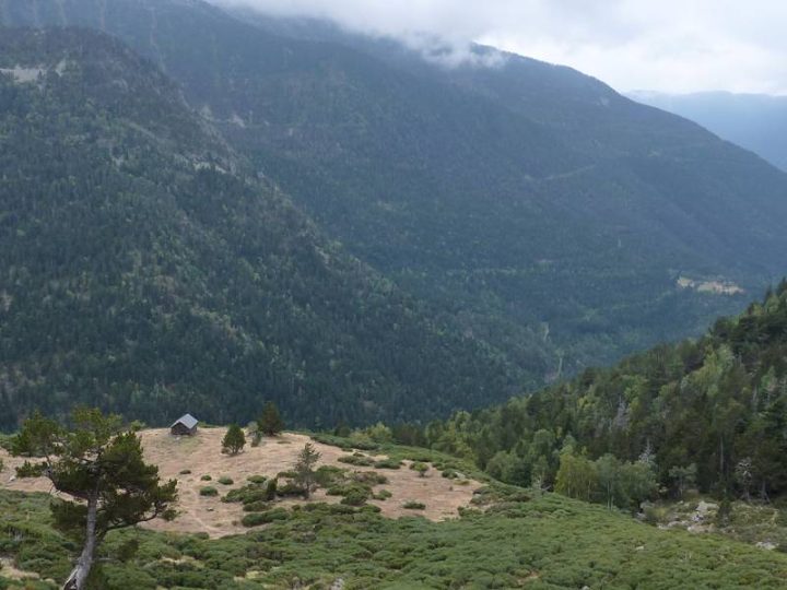 Cabane de Bassello