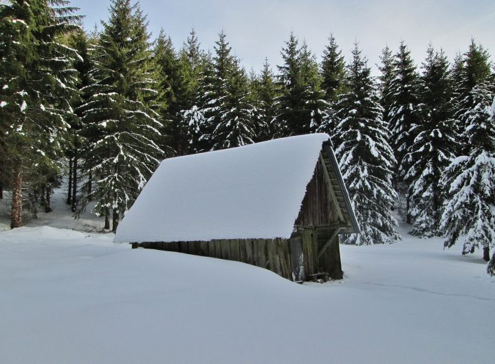 Petite Grange de la Cochette