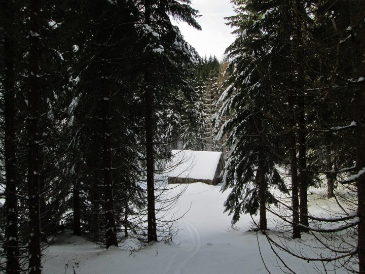 Petite Grange de la Cochette