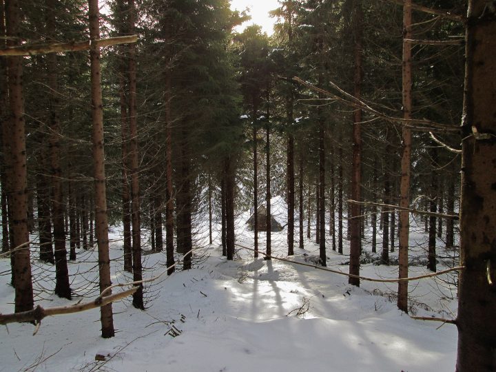 Petite Grange de la Cochette