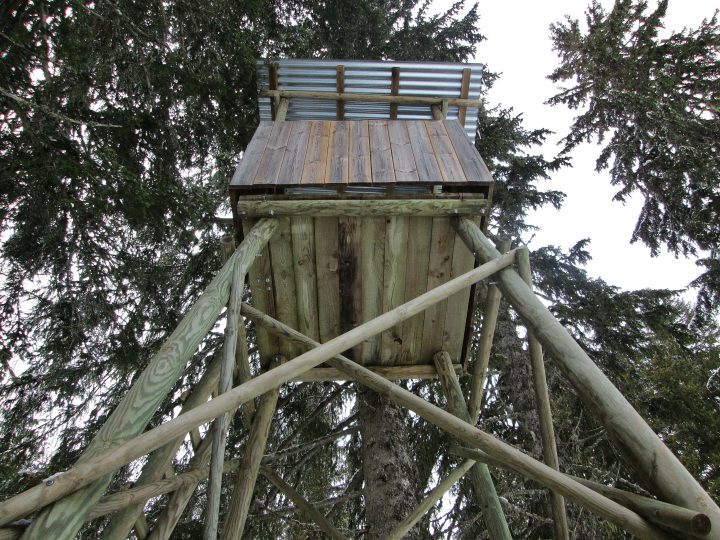Cabane perchée d'observation du Nant des Brassets