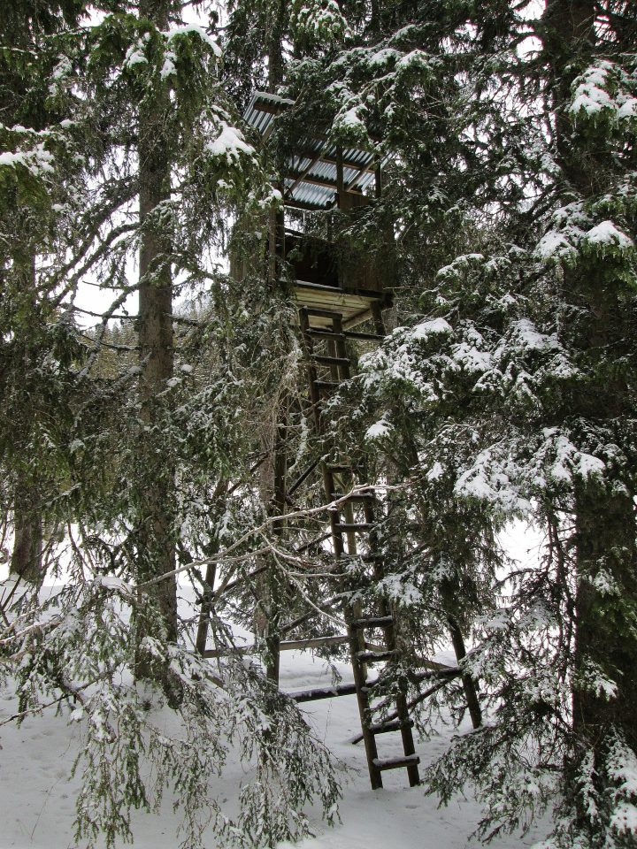 Cabane perchée d'observation du Nant des Brassets