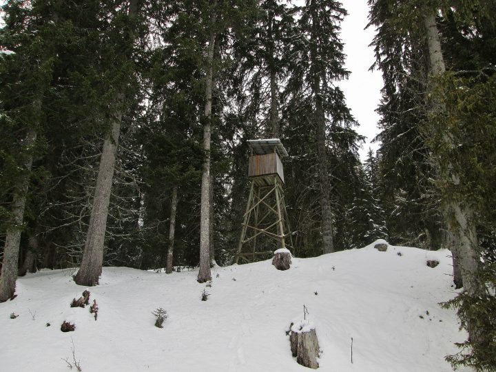 Cabane perchée d'observation du Nant des Brassets