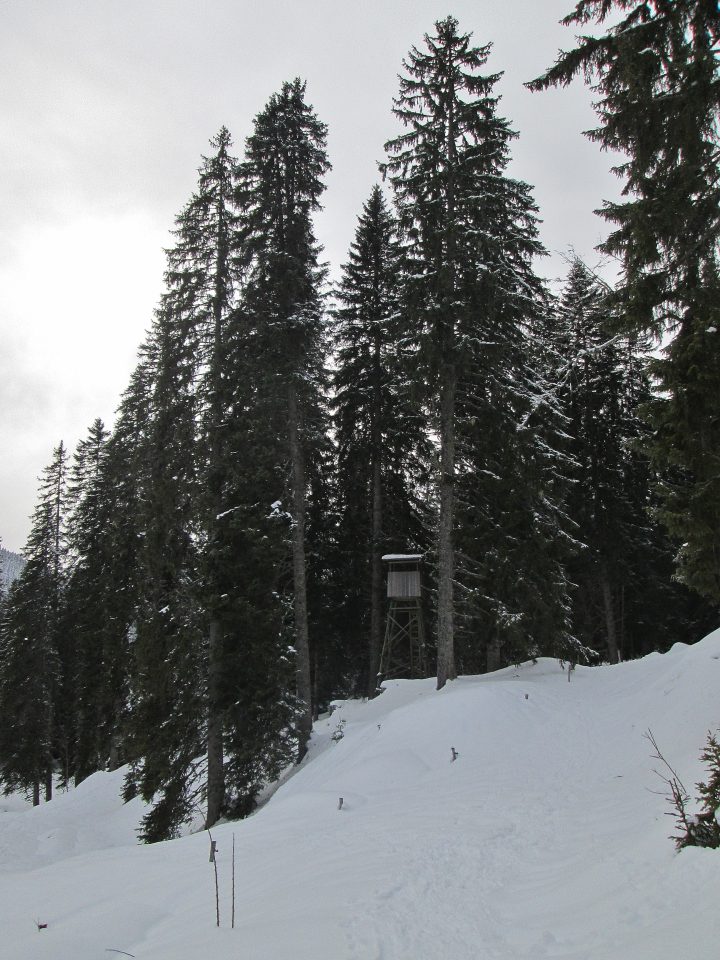 Cabane perchée d'observation du Nant des Brassets