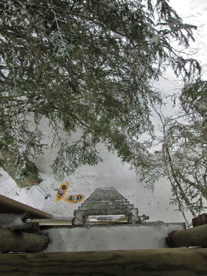 Cabane perchée d'observation du Nant des Brassets