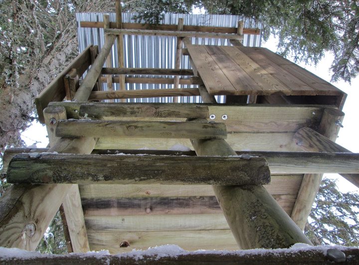 Cabane perchée d'observation du Nant des Brassets