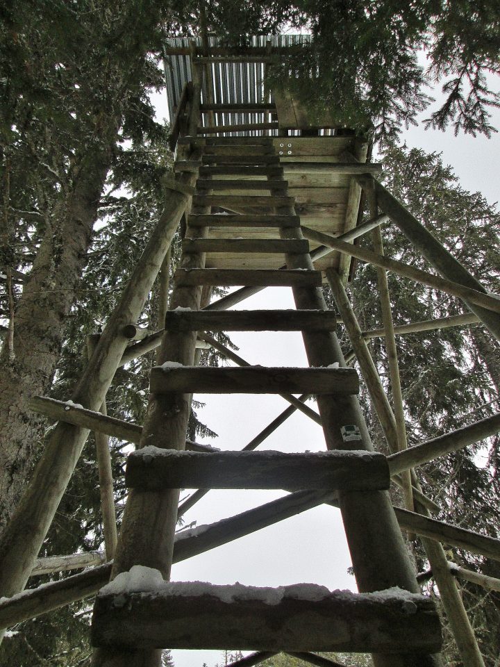 Cabane perchée d'observation du Nant des Brassets