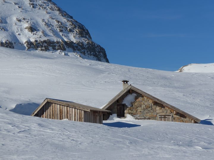 Cabane de Lignin
