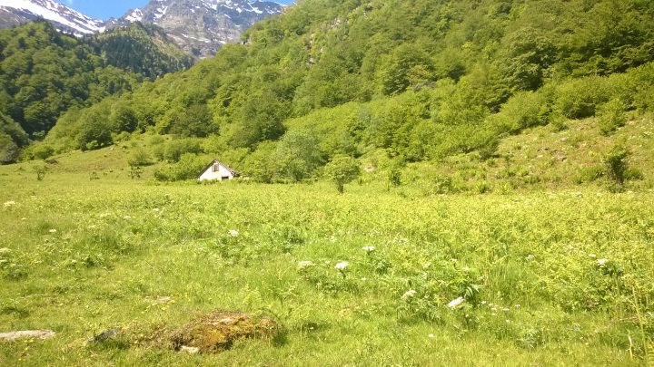 Cabane de Graouilles