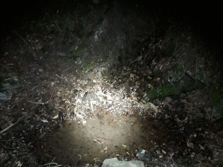 Cabane forestière de Charcotin