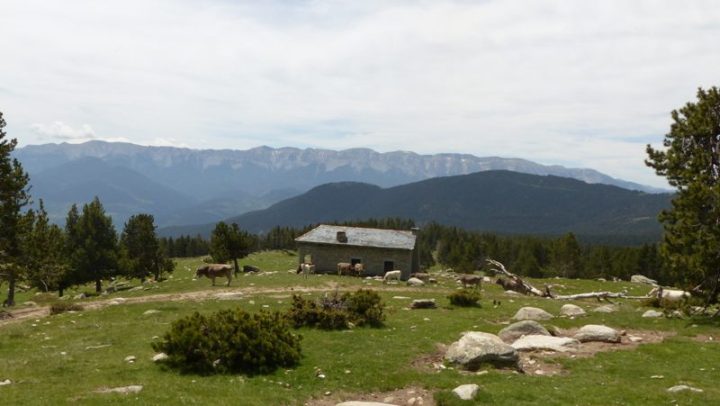 Refuge de Pradell