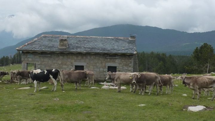 Refuge de Pradell