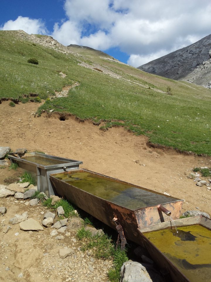 Cabane "Cortal del Cortils"