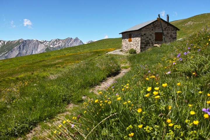 Chalet du Fruit Commun