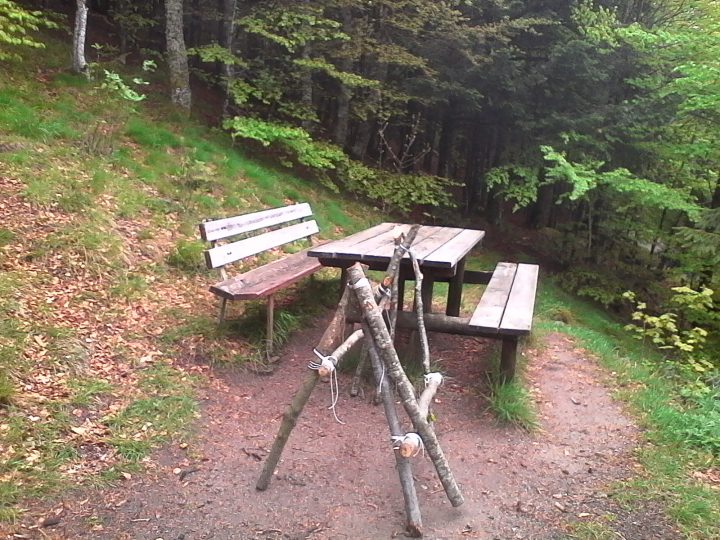Chalet des Vaudés