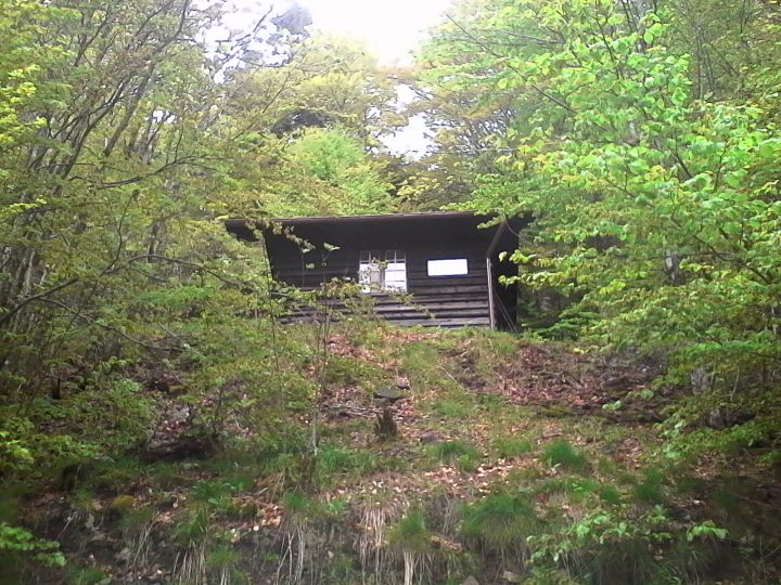 Chalet des Vaudés