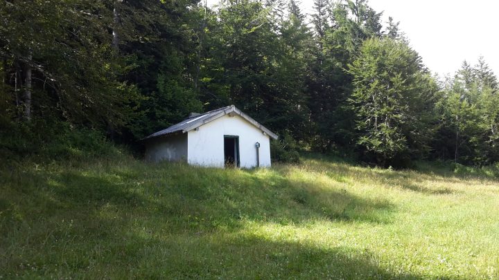 Cabane forestière du col de Lanscise