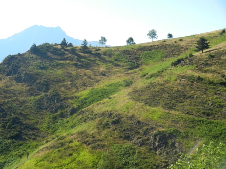 Cabane de Pio Det Lurs