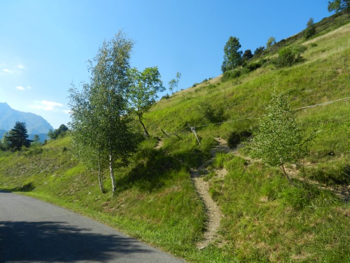 Cabane de Pio Det Lurs