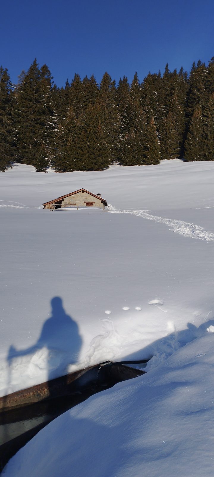 Chalet de Prariond (ou "Hôtel Cayon")