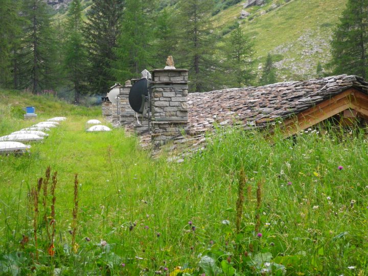 Refuge Tétras Lyre