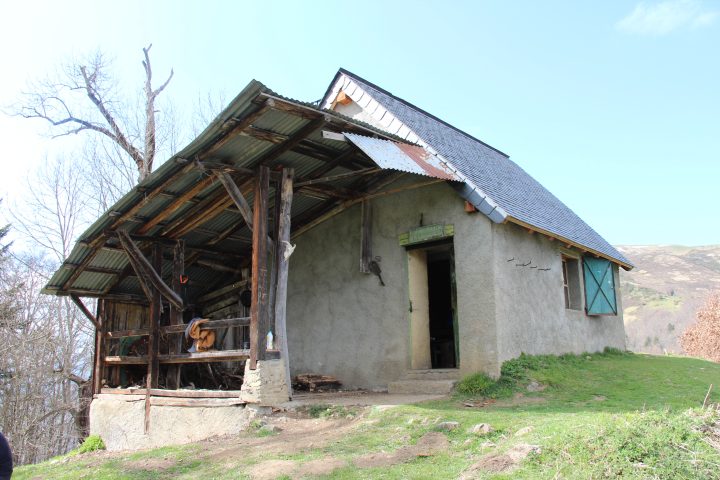 Cabane forestière du Piéjau
