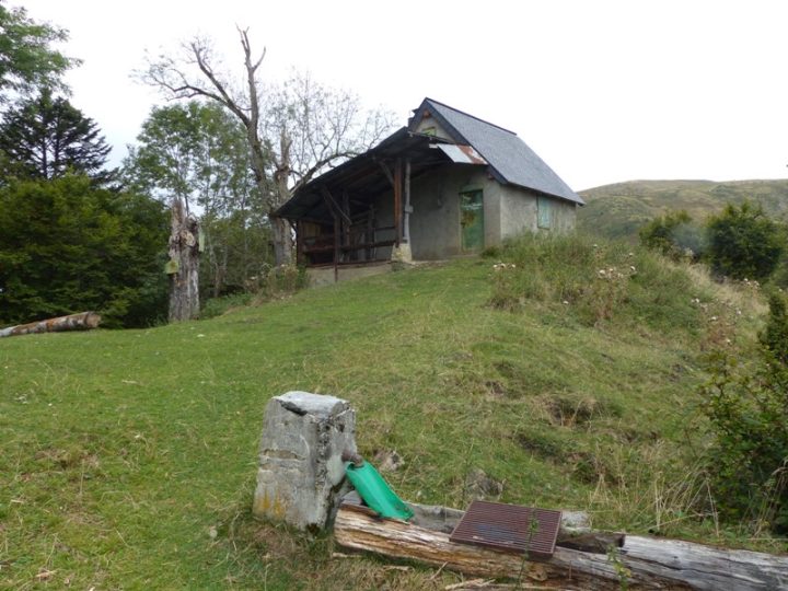 Cabane forestière du Piéjau