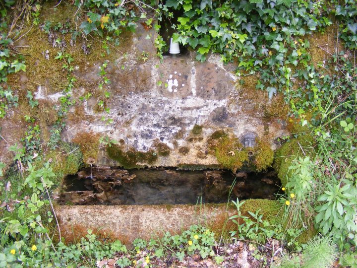 Abri forestier de l'Avetosa