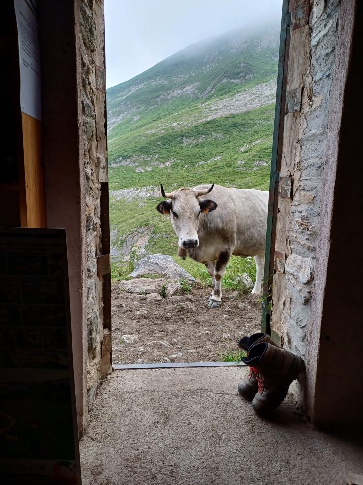 Cabane de la Lanne