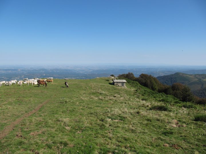 Cabane de l'Homme Mort