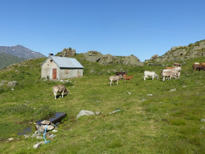 Cabane du Taus
