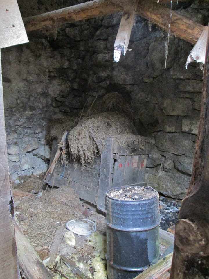 Cabane du village ruiné de La Chapelle