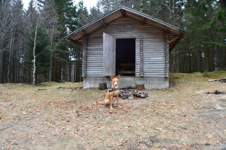 Abri du Racbegbo