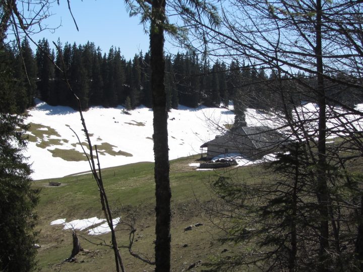 La Petite Chaux